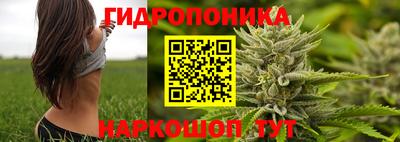 spice Краснокаменск