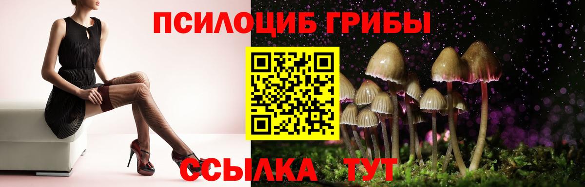 Галлюциногенные грибы GOLDEN TEACHER Щёлково